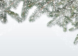 Christmas decorations on a snowy background. border with fir branches and cones.