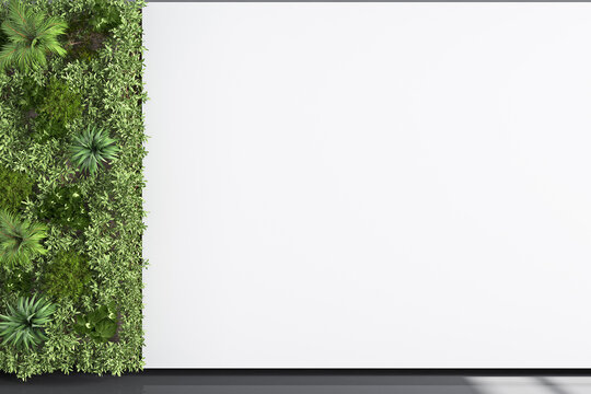 Mockup Background