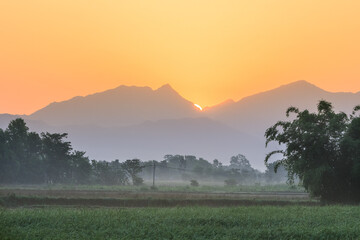 The early morning in the Chitwan NP against the Himalaya Mountains