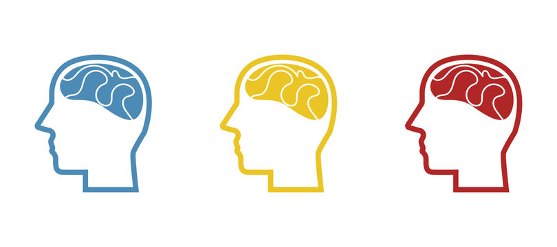 head and brain icon on a white background, vector illustration