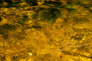 Golden and clear water on mountain river botttom.