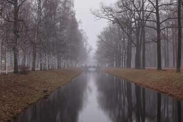 Fototapeta premium dark branches of naked trees in a fog over cold water in an empty park in winter