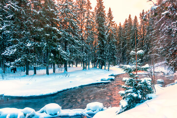 Winter morning landscape of a coniferous high forest at sunrise with a flowing river and fresh clean snow.  © Ludmila