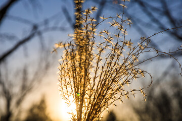 Obraz premium China Beijing summer palace lake wonderful view 