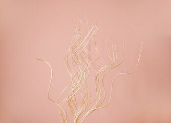 Dry decorative branches on a pink background. Minimalistic background. Twigs of a sinuous shape.