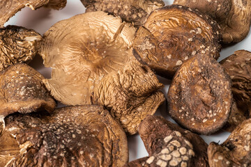 Dried Amanita pantherina or panther cap mushrooms close up. Alternative herbal medicine and micro dosing therapy.