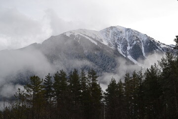 fog over the mountains