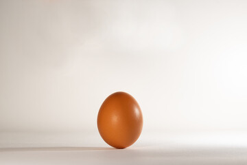 One chicken egg standing upright. Chicken egg, with a textured surface, on a light background.