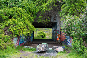 Graffiti-covered military bunker entrance , tucked behind floral growth. Peaks Island, Maine