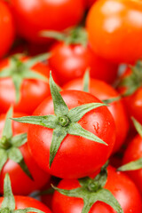Tomato tomatoes tomatos vegetable vegetables from above portrait format