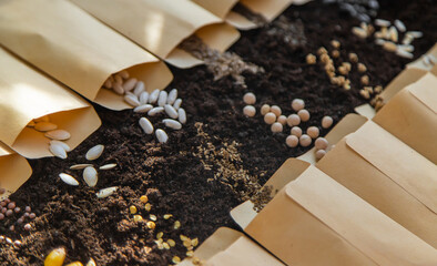 Seeds in bags on the soil. Selective focus.