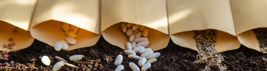 Seeds in bags on the soil. Selective focus.
