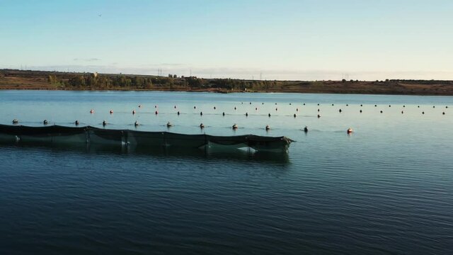 Mussel farming, in the small sea of ​​Taranto