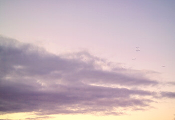sunset in the evening sky, beautiful clouds and clouds. birds fly across the sky.