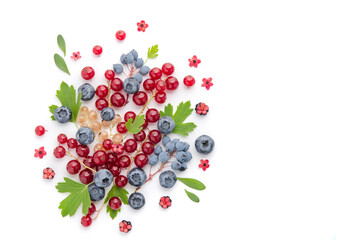 Composition from multi-colored berries and leaves on a white background.