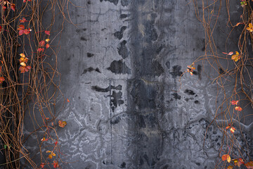 background concrete wall