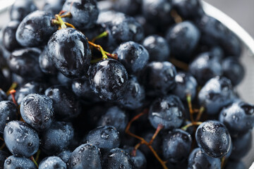 Ripe black grapes with water drops close-up on the fruits.