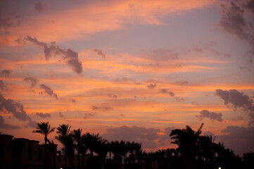 Fototapeta premium sunset in the sky