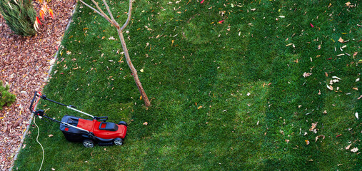 Red electric lawn mower with a cord on a green lawn. .