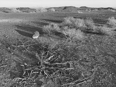 dramatic black and white vintage wilderness baron desert dusk shadows and mountains
