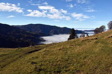 Inversionswetter im Schwarzwald bei Freiburg