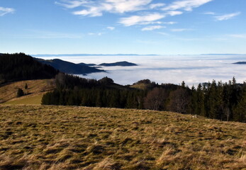Inversionswetter im Schwarzwald bei Freiburg