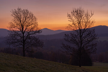 Sunrise in Bohemian Switzerland national park in the Czech republic seen from Cross hill (Křížový vrch). Beautiful morrning tranquil scene with two tall trees in foreground