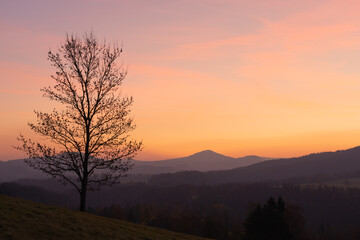 Obraz na płótnie Canvas Sunrise in Bohemian Switzerland national park in the Czech republic seen from Cross hill (Křížový vrch). Beautiful morrning tranquil scene with single tall tree in foreground