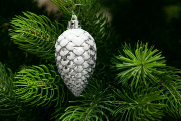 Silver Christmas toy pine cone hanging among green artificial spruce branches