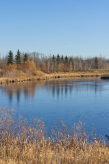 Pylypow Wetlands on a Clear Autumn Day