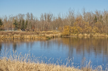 Pylypow Wetlands on a Clear Autumn Day