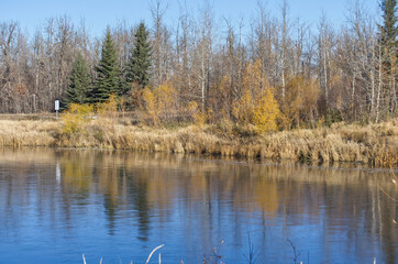 Pylypow Wetlands on a Clear Autumn Day