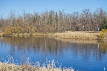 Pylypow Wetlands on a Clear Autumn Day