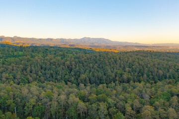 Fototapeta premium Aerial top view of lush green trees from above in tropical forest in national park and mountain or hill in summer season in Thailand. Natural landscape. Pattern texture background.