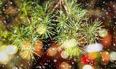 Obraz na płótnie Canvas White snow lies on the branches of a Christmas tree. Christmas mood.