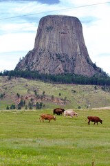 Geology, Devils Tower, Wyoming