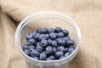 Large selected fresh juicy blueberries in a tray on burlap