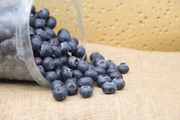 Large selected fresh juicy blueberries in a tray on burlap