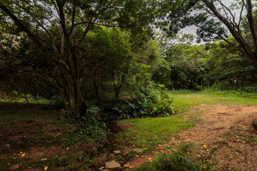 Fototapeta premium Natural park