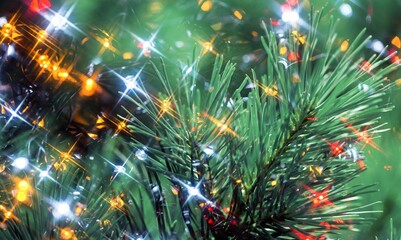 Fototapeta premium White snow lies on the branches of a Christmas tree. Christmas mood.