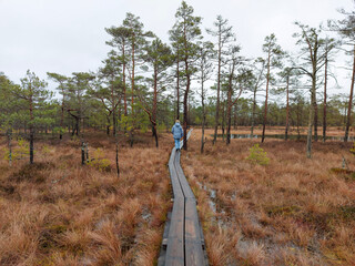 a woman walks along a swamp wooden footbridge in autumn