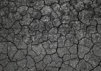 dry cracked earth
