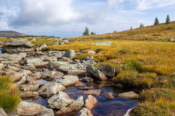 A clear mountain stream on the green meadows in the Austrian Alps