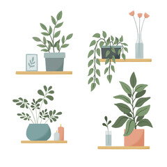 Set of potted plants on the shelves. Flowers in a vase, candles, a picture in a frame. Cozy raster illustration