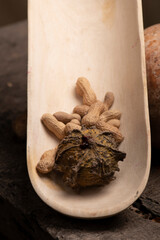 cacahuate y papache comida organica mexicana 