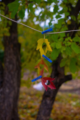 autumn leaf with a heart hanging on a rope. High quality photo