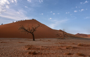 Fototapeta na wymiar Dune 45 in Namibia