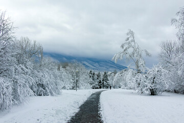 Fototapeta premium Winter Landscape of South Park in city of Sofia, Bulgaria