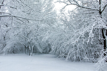 Winter Landscape of South Park in city of Sofia, Bulgaria