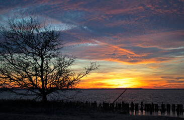 Fototapeta na wymiar Colorful sunset over Sandy Hook Bay, New Jersey, on a late afternoon with a mostly stratus cloud filled sky and a tree in silhouette -63